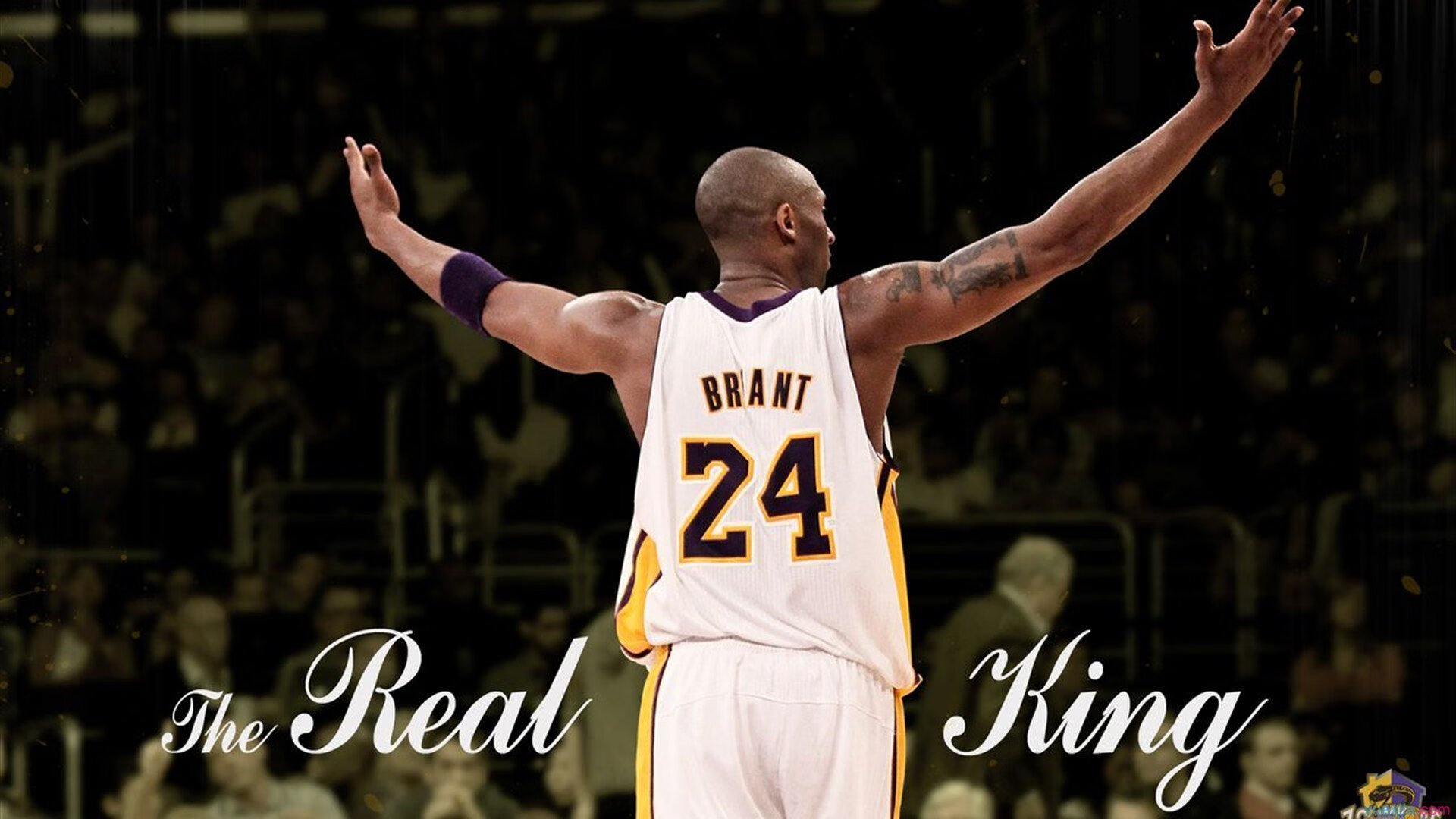 新王当立！哈利伯顿导演逆转好戏，雄鹿绿军双雄黯然失色